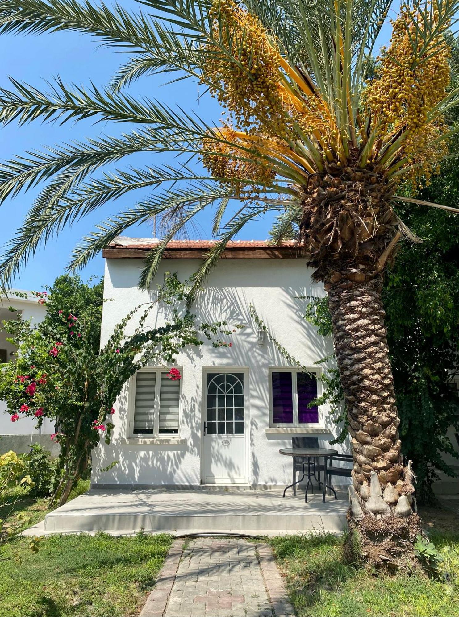 The Prince Inn Hotel & Villas Agios Georgios  Exterior photo