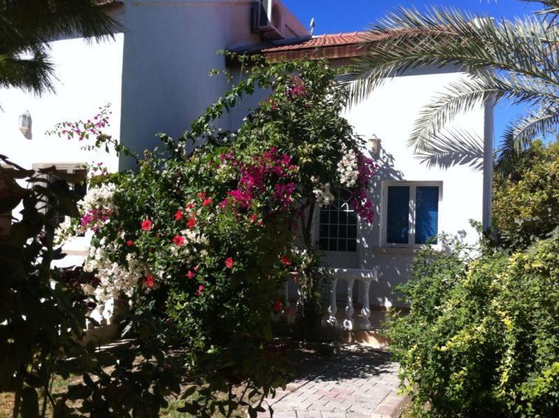 The Prince Inn Hotel & Villas Agios Georgios  Exterior photo